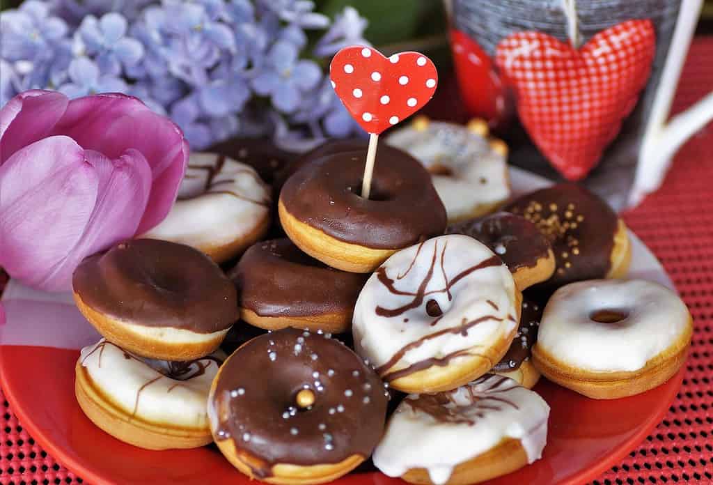 Dunkin' Donuts: uma das franquias mais lucrativas para adquirir em 2023