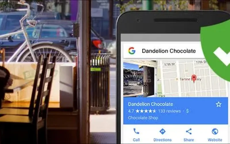 Google my business bulk verification